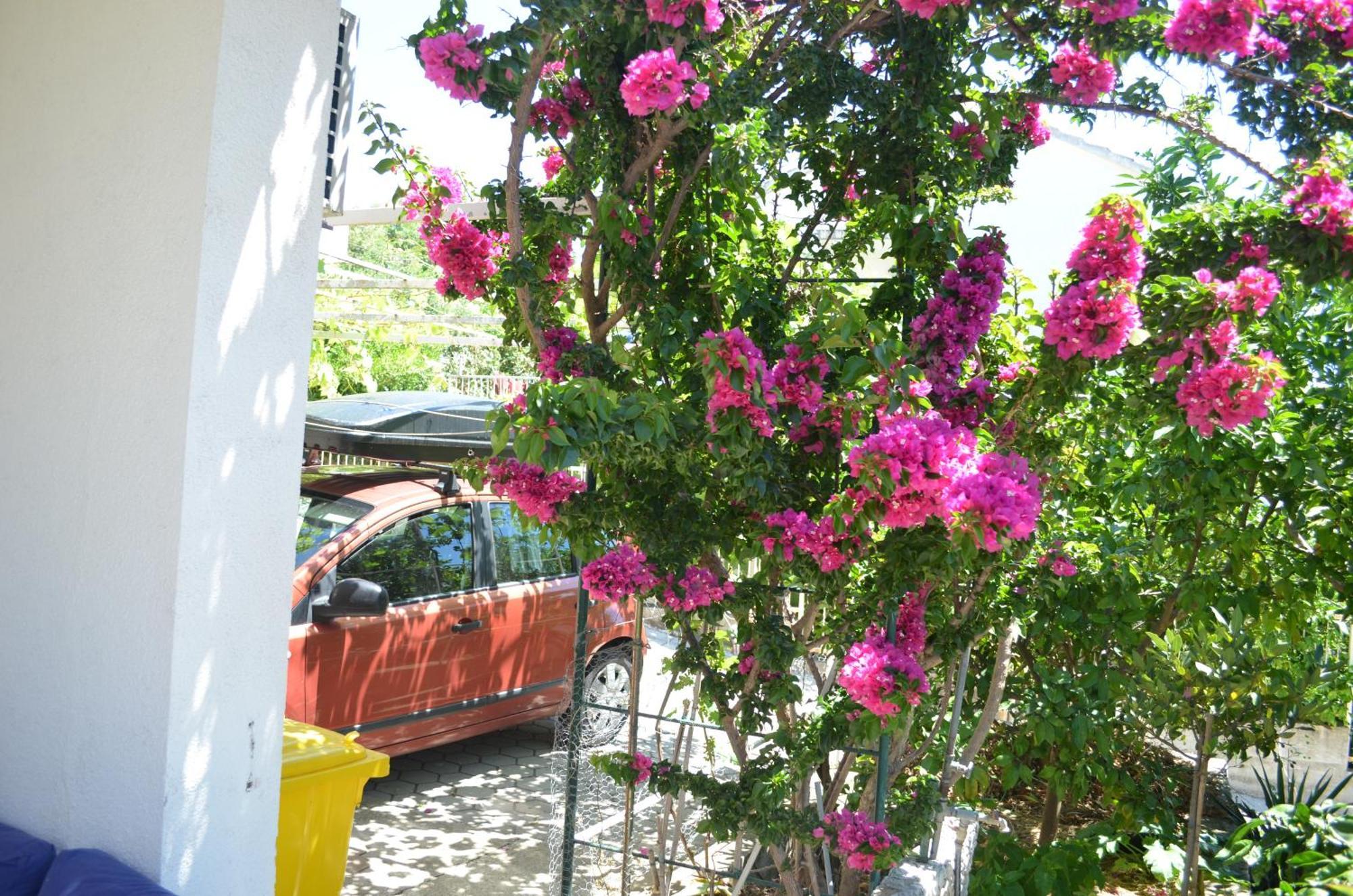 Orebic Garden House Dış mekan fotoğraf